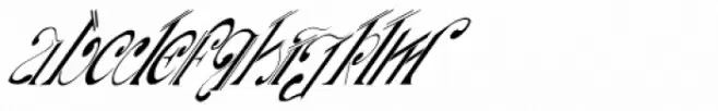Aliya Italic