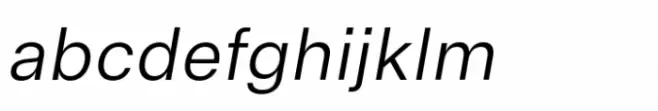 Arbeit Pro Book Italic