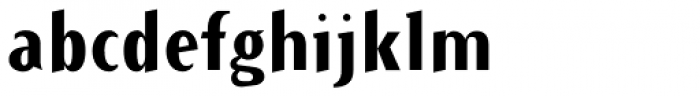 Arbitrary Bold