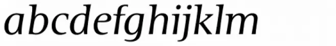 Areplos Book Pro Italic