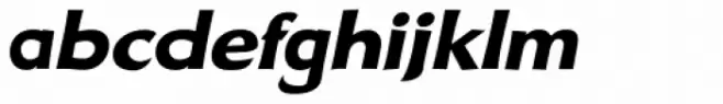 Arturo Black Italic