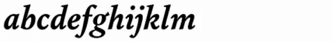 Augustin Bold Italic