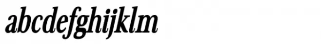 Avantime Narrow Black Italic