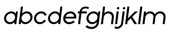 Basique Pro Variable Italic