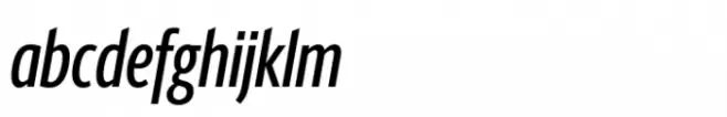 Berlingske Sans Extracondensed Std Medium Italic