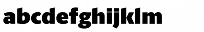 Berlingske Sans Std Poster