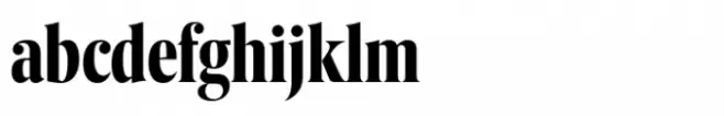 Berlingske Serif Extracondensed Std Bold