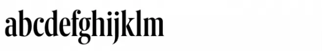 Berlingske Serif Extracondensed Std Medium