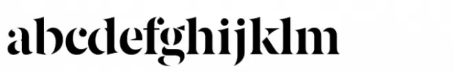 Berlingske Serif Stencil Std Bold