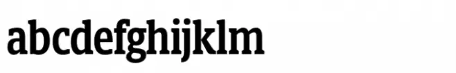 Berlingske Slab Display Std Demibold