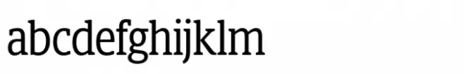 Berlingske Slab Display Std Regular