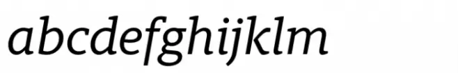 Berlingske Slab Std Medium Italic