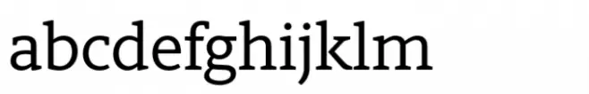 Berlingske Slab Std Medium