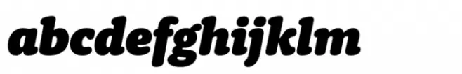 Berlingske Typewriter Std Poster Italic