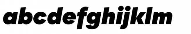 BF Garant Pro Black Italic