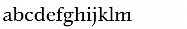 Bingo Serif Std Regular