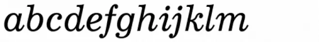 Borgis Pro Italic