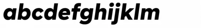 BR Segma Black Italic
