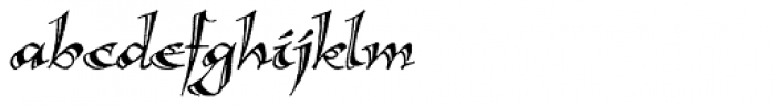 Calligraphica Italic