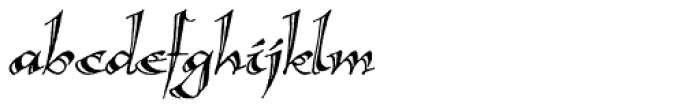 Calligraphica Lx Italic