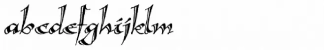 Calligraphica Lx Italic