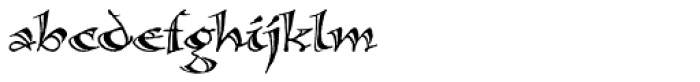 Calligraphica Sx Regular