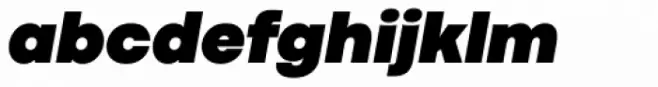Codec Pro Ultra Italic