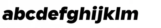 Cogenta Black Italic