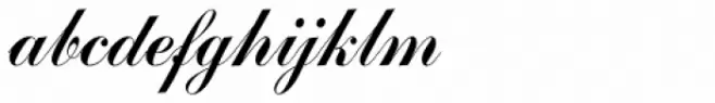 Commercial Script D