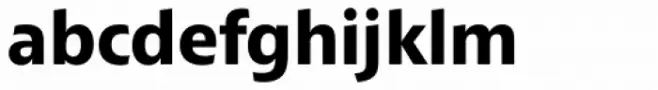 Croma Sans Bold