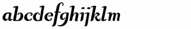 Curly Lady D Bold Italic