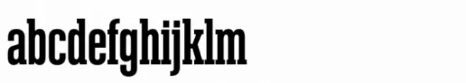 Denso Serif Bold
