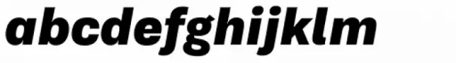 Doctrine Black Italic