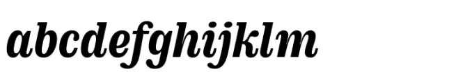 DT Augustina Slab Italic 1 S Bold