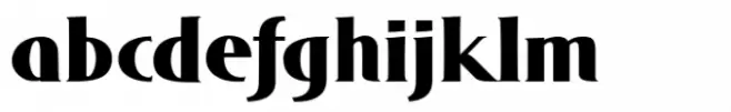 DT Skiart Serif Leaf Sub Black