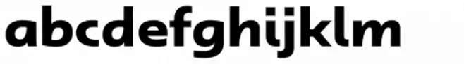 Dulcian Extended Bold