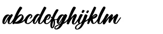Elbrush Signation Script Solid