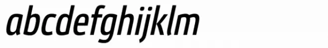 Etelka Text Condensed Italic