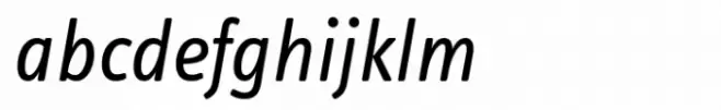 FF Info Text Regular Italic