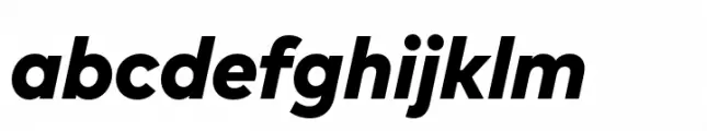 FF Mark Paneuropean Heavy Italic
