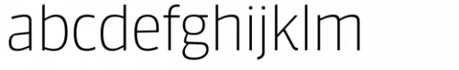 FF Sanuk Big Thin