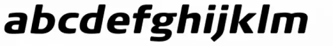 FF Signa Round Pro Black Italic