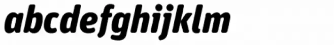 FF Unit Rounded Std Black Italic