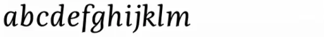 Fiesole Caption Italic