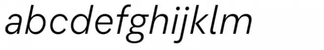 Flink Neue Text Cnd Book Italic