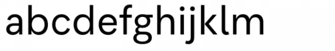 Flink Neue Text Cnd Regular