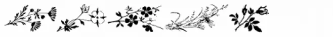 Floralissimo