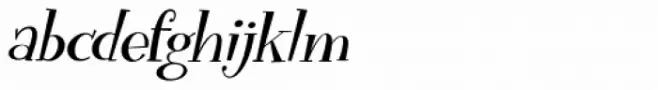 Funky Flamingo Italic