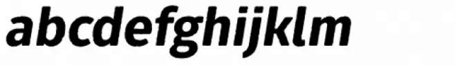 Fuse V.2 Printed Alt Extrabold Italic