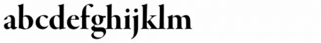 Garamond Premr Pro Display Bold